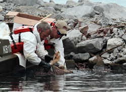 River Oil Spill Cleanup