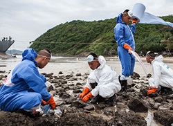 Shoreline Oil Spill Cleanup